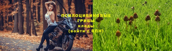 альфа пвп Краснослободск