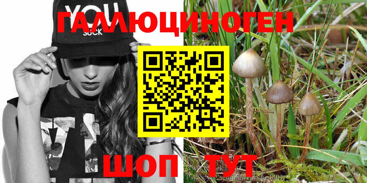 Лиски  Псилоцибиновые грибы MAGIC MUSHROOMS  Вход с VPN  Галлюциногенные грибы GOLDEN TEACHER 